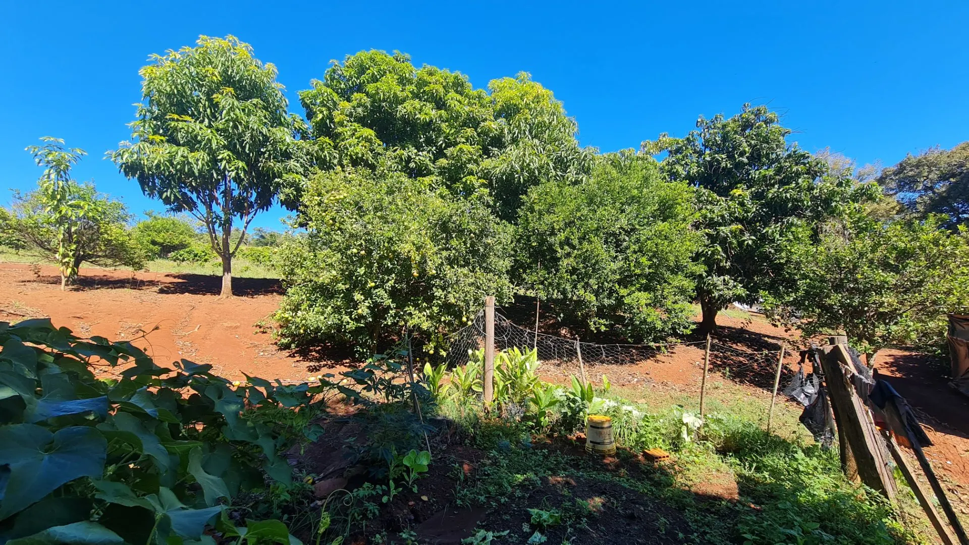 Sítio à venda de 77 ha em Timburi, SP, Brasil