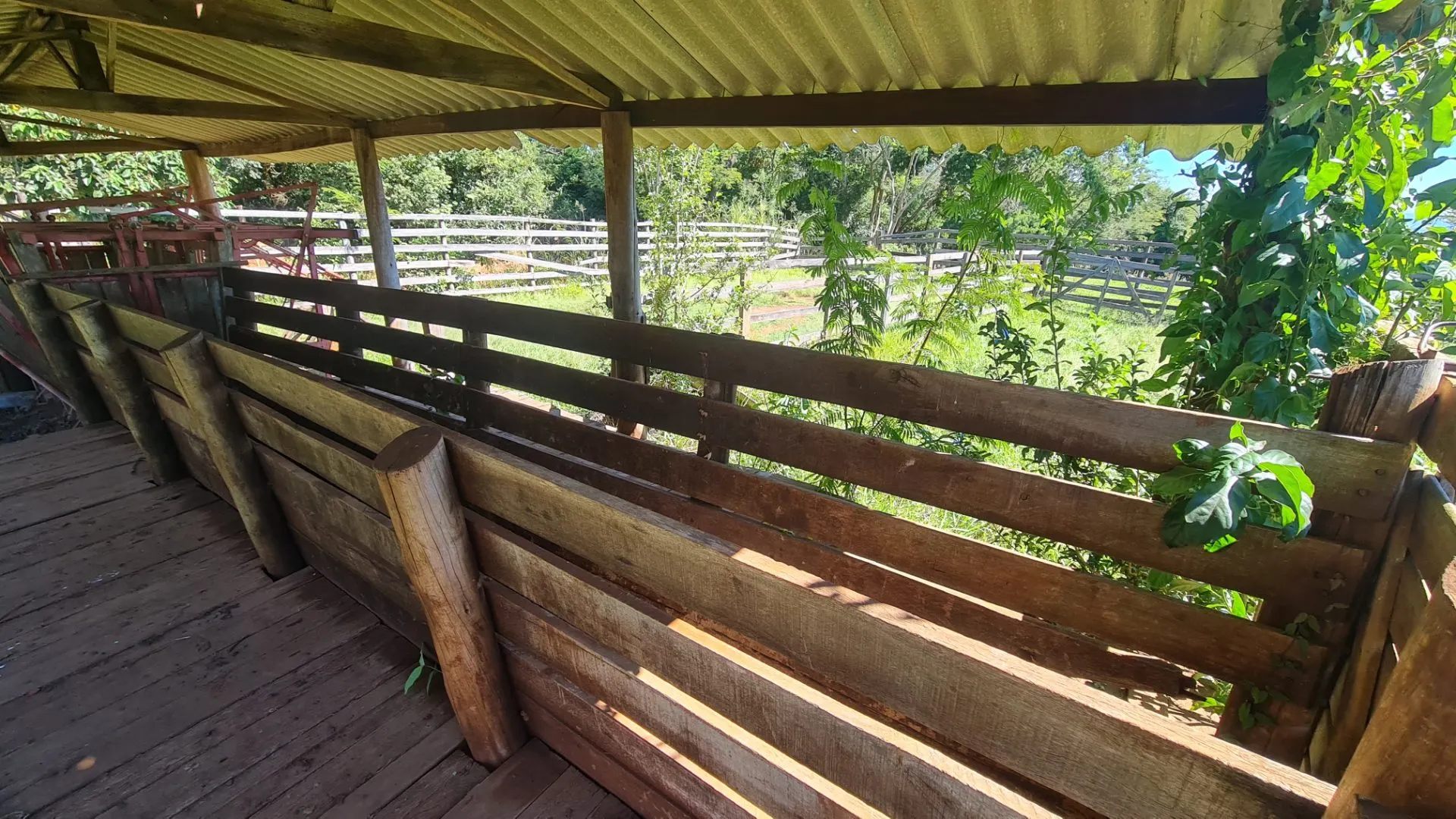 Sítio à venda de 77 ha em Timburi, SP, Brasil