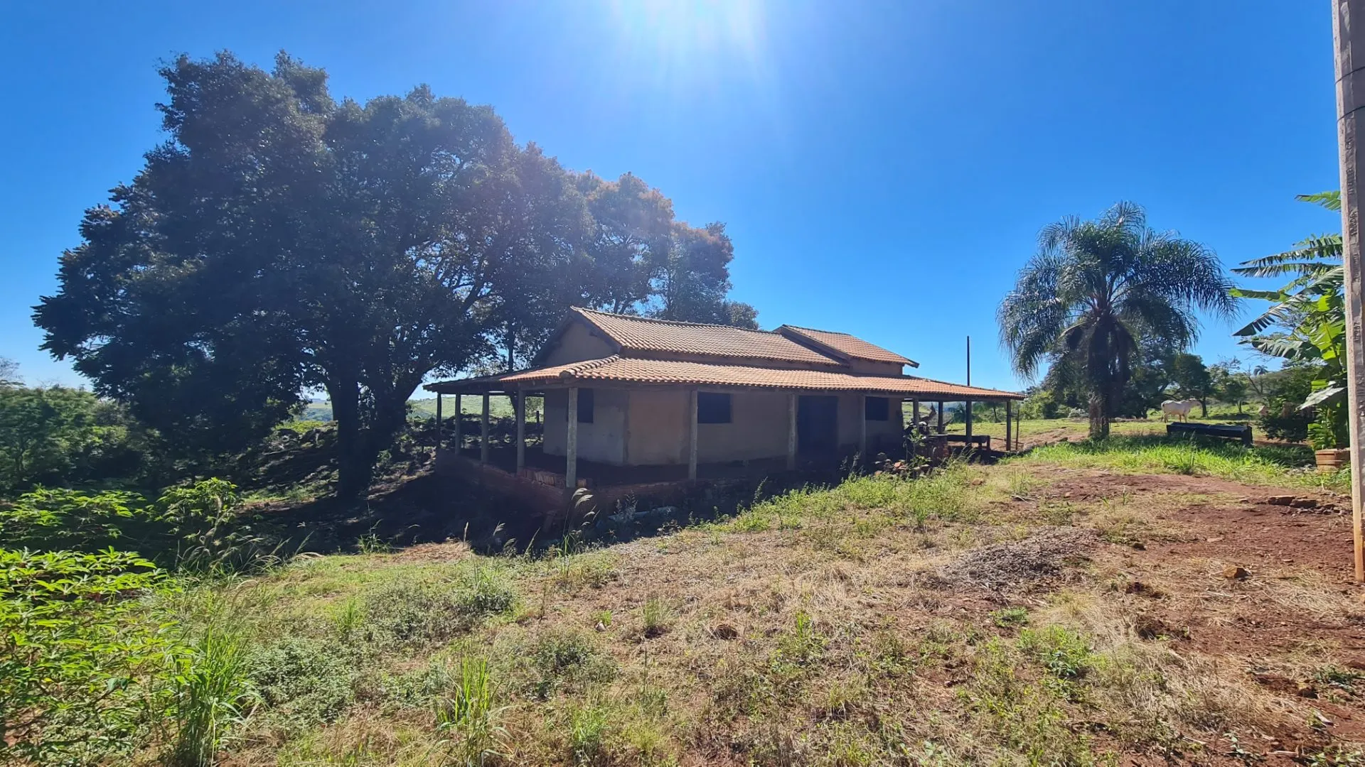 Sítio à venda de 77 ha em Timburi, SP, Brasil