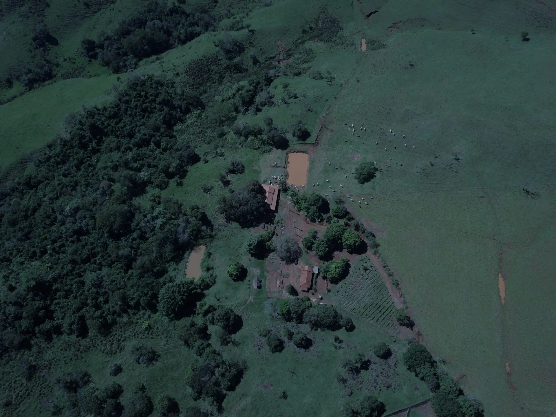 Sítio à venda de 77 ha em Timburi, SP, Brasil