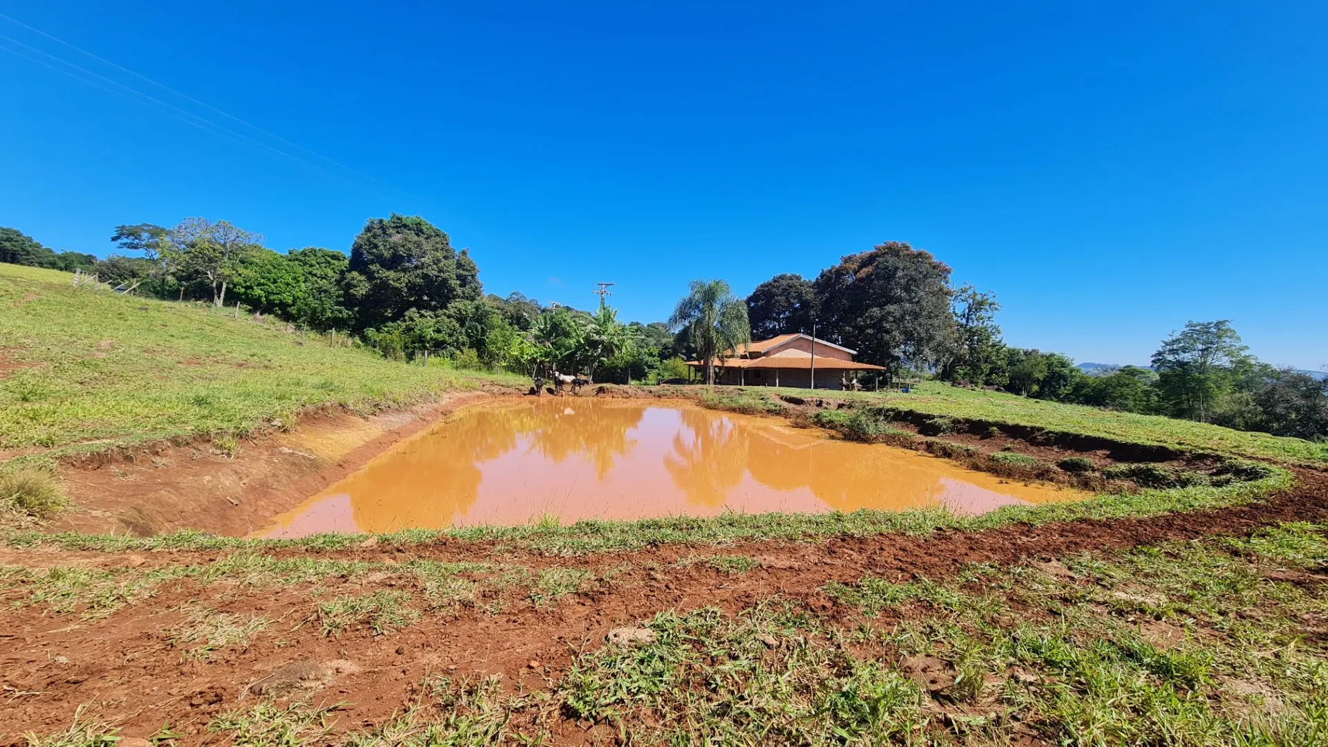 Sítio à venda de 77 ha em Timburi, SP, Brasil