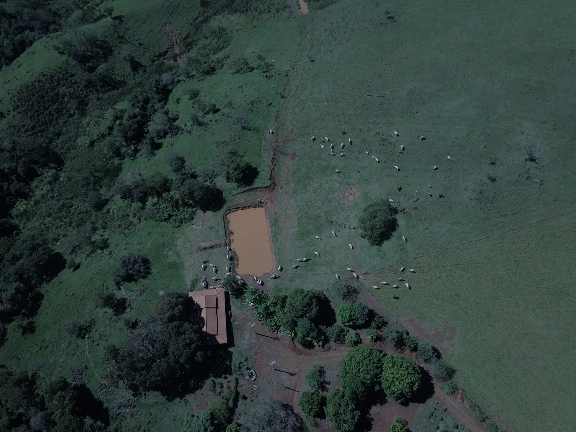 Sítio à venda de 77 ha em Timburi, SP, Brasil