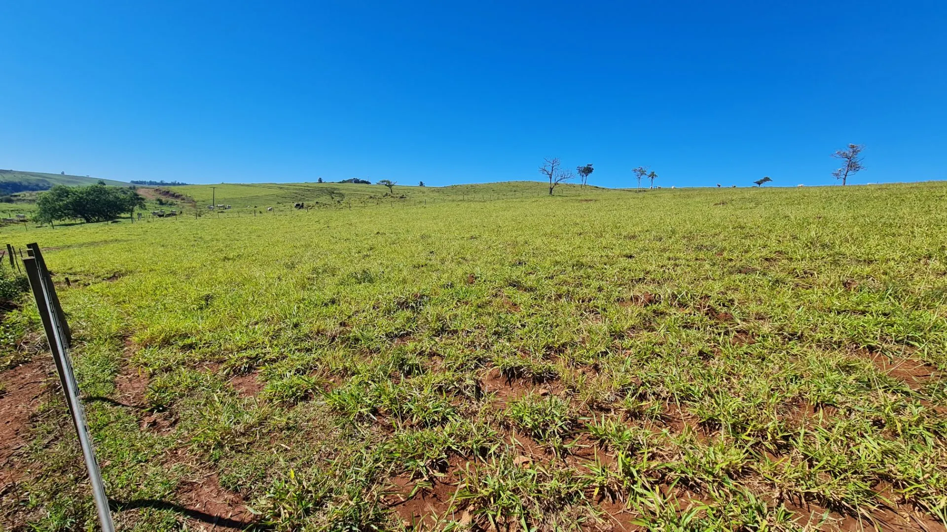 Sítio à venda de 77 ha em Timburi, SP, Brasil