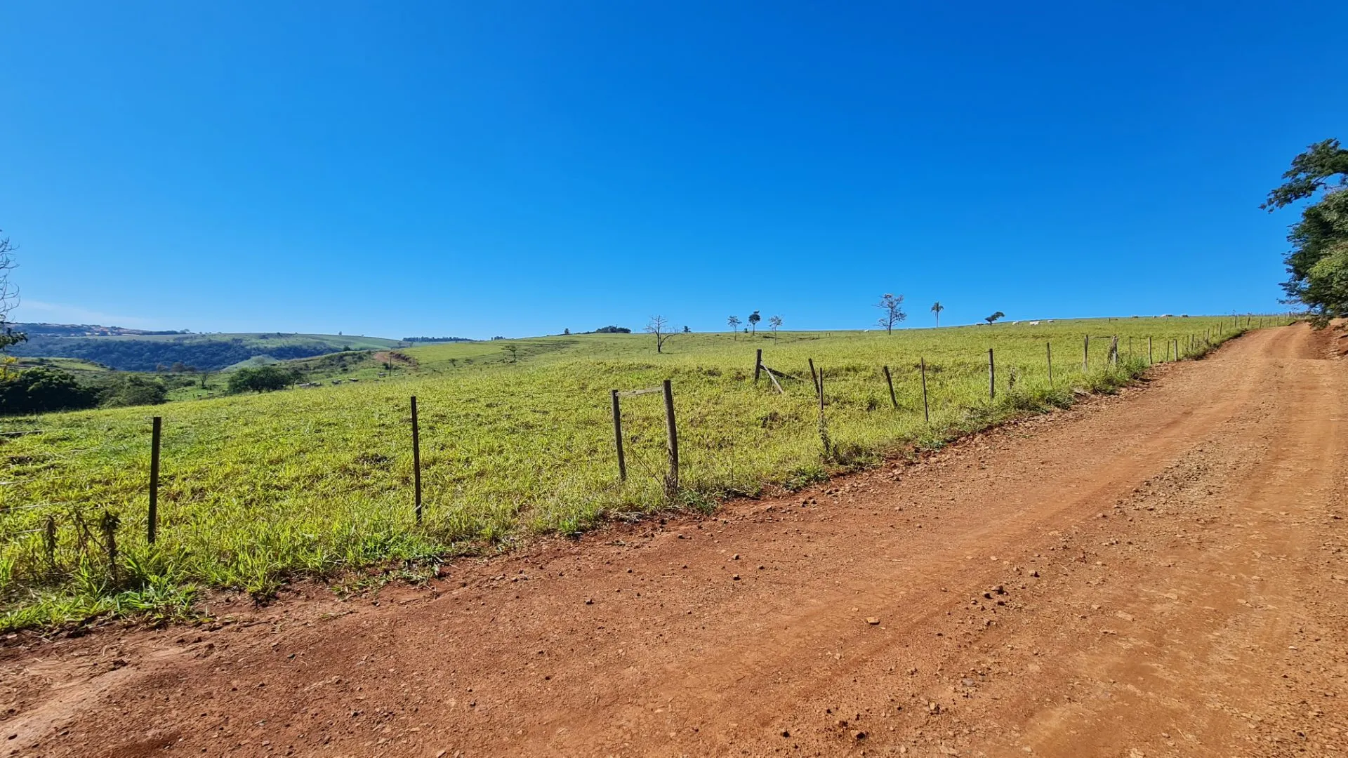 Sítio à venda de 77 ha em Timburi, SP, Brasil