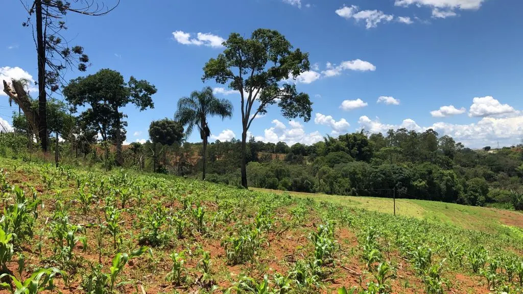 Plot for sale of 6 acres in Pouso Alegre, MG, Brazil