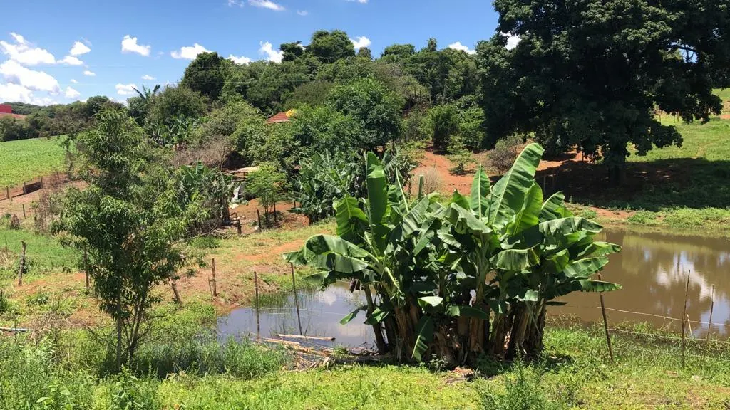Plot for sale of 6 acres in Pouso Alegre, MG, Brazil