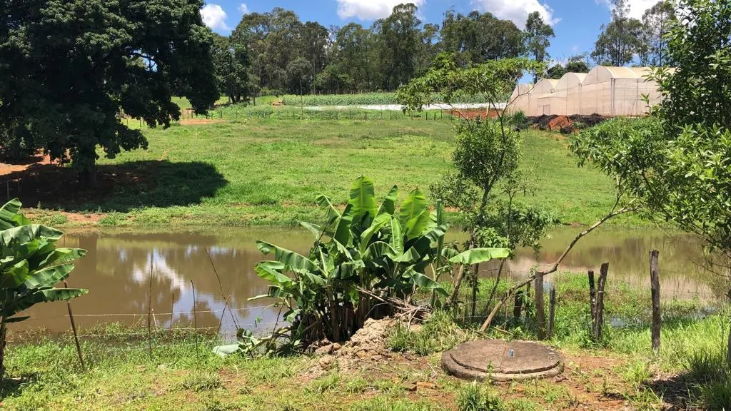 Terreno à venda de 2 ha em Pouso Alegre, MG, Brasil