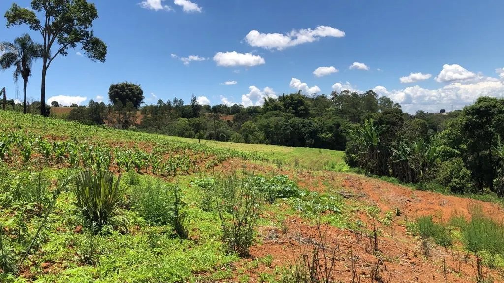 Plot for sale of 6 acres in Pouso Alegre, MG, Brazil