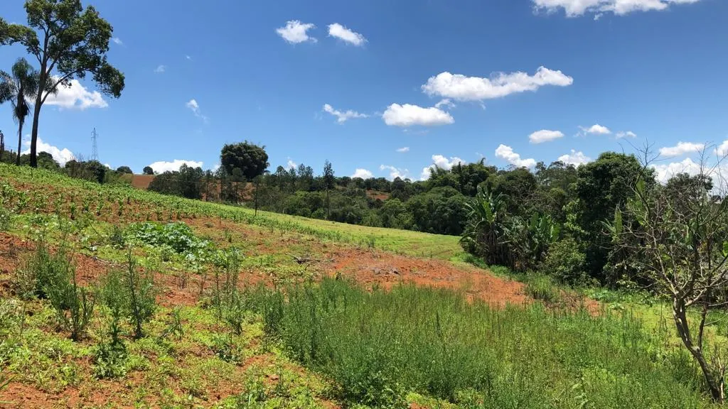 Plot for sale of 6 acres in Pouso Alegre, MG, Brazil