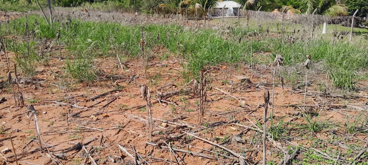 Terreno à venda de 2.500 m² em Boituva, SP, Brasil