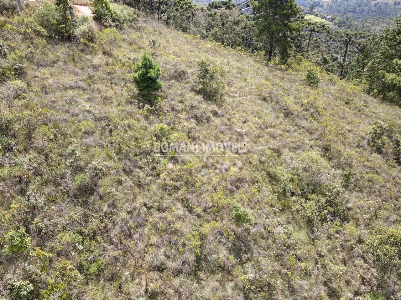 Terreno à venda de 2.065 m² em Campos do Jordão, SP, Brasil