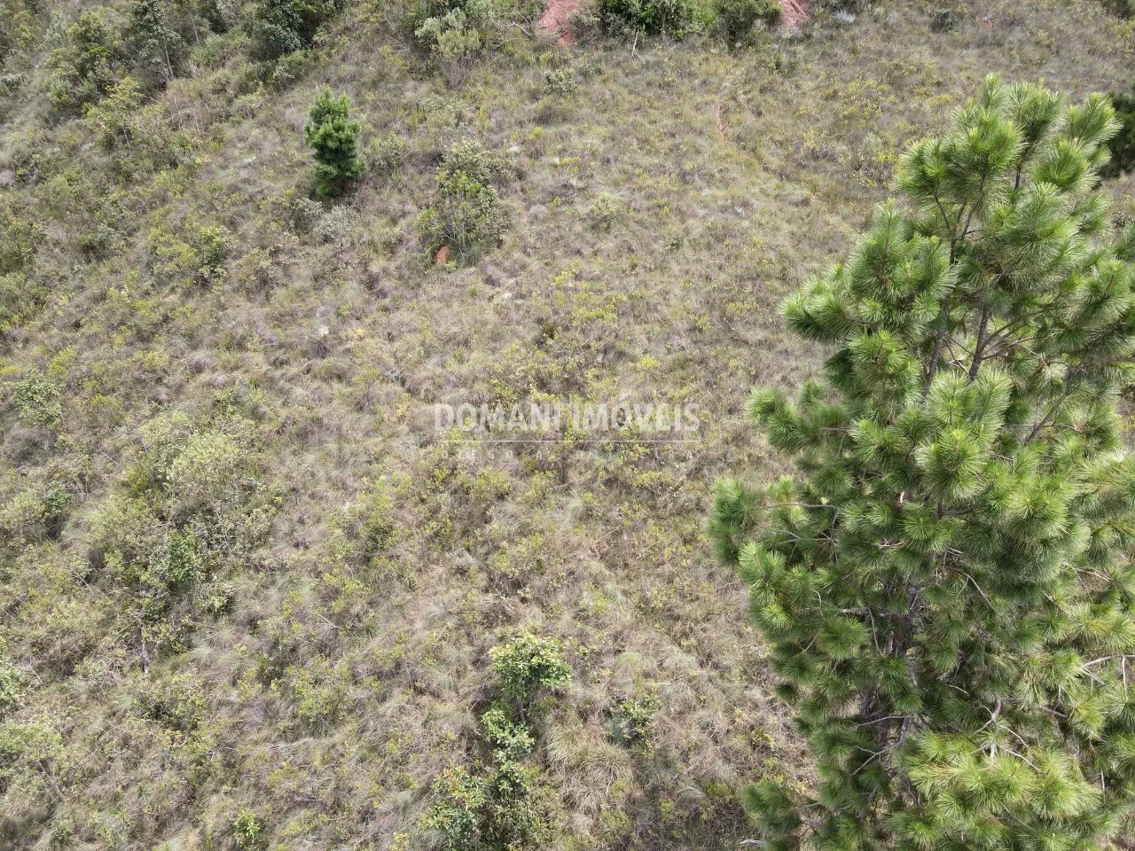 Terreno à venda de 2.065 m² em Campos do Jordão, SP, Brasil