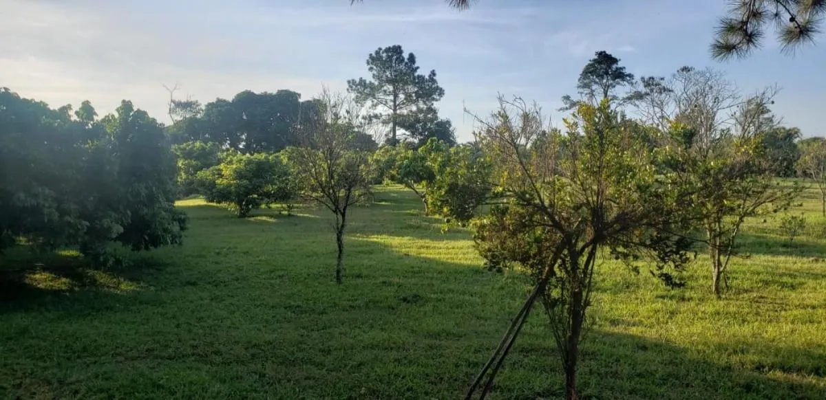 Sítio à venda de 4 ha em Mogi das Cruzes, SP, Brasil