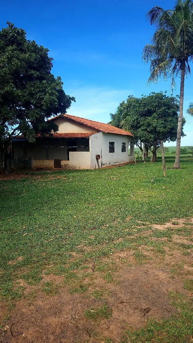 Fazenda à venda de 317 ha em Araçatuba, SP, Brasil