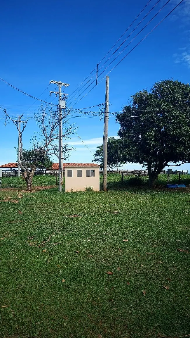 Fazenda à venda de 317 ha em Araçatuba, SP, Brasil