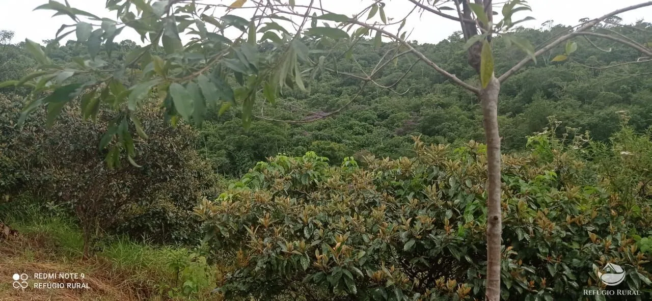 Plot for sale of 10 acres in São José dos Campos, SP, Brazil