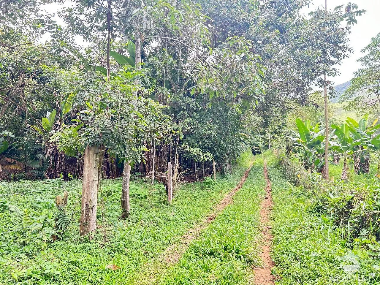 Plot for sale of 10 acres in São José dos Campos, SP, Brazil