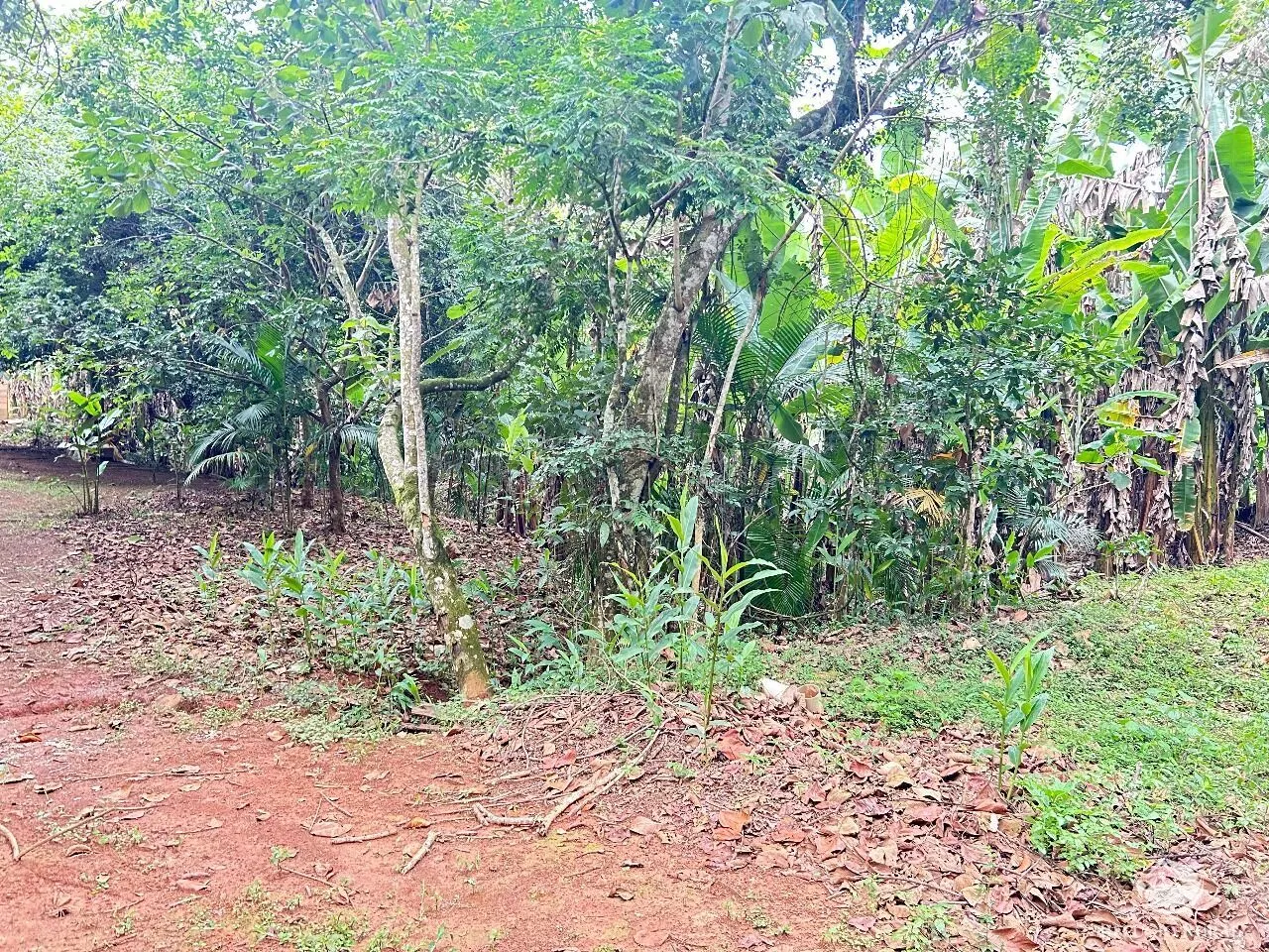Plot for sale of 10 acres in São José dos Campos, SP, Brazil