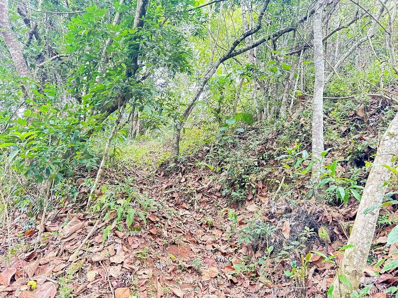 Plot for sale of 10 acres in São José dos Campos, SP, Brazil