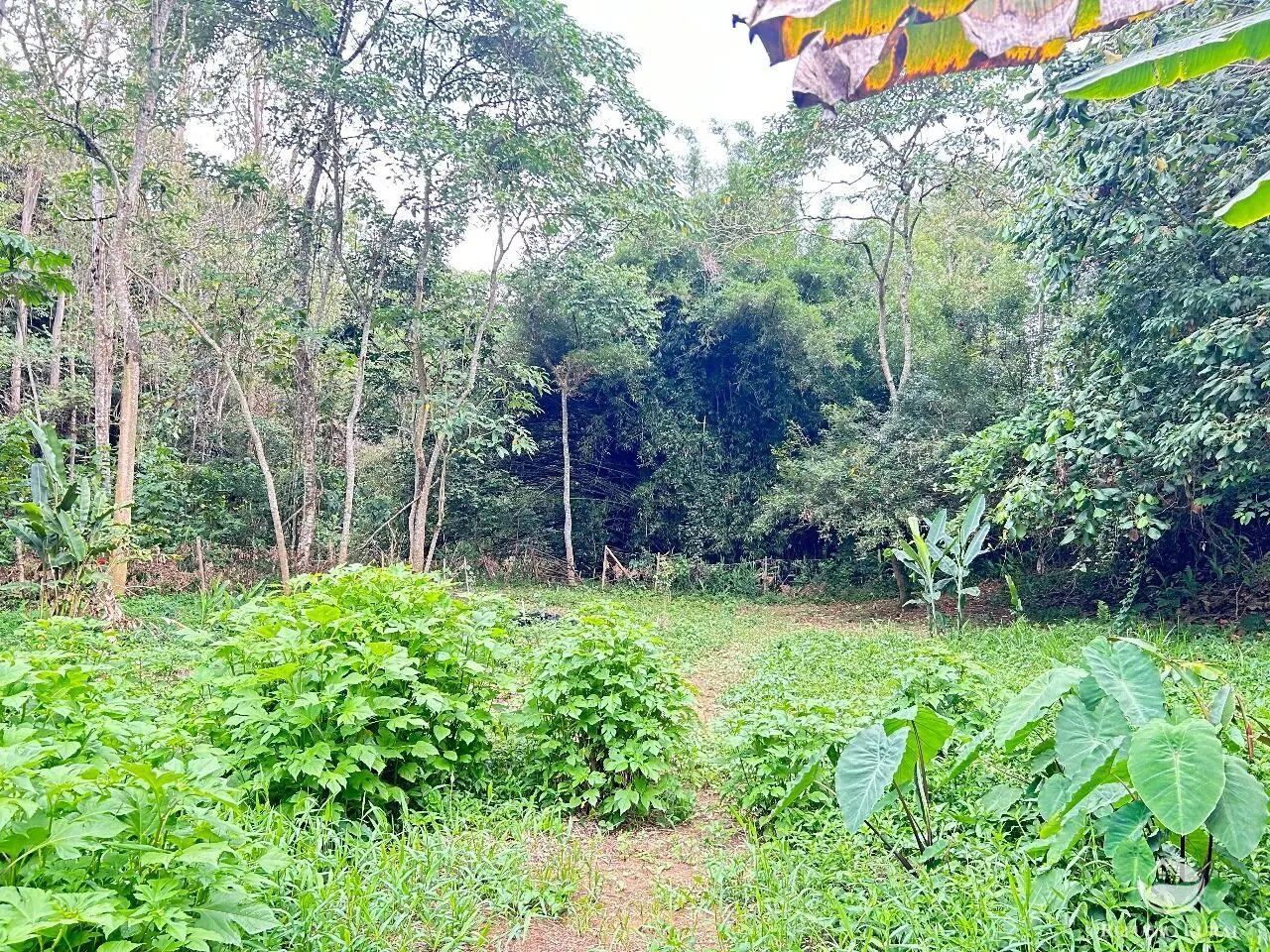 Plot for sale of 10 acres in São José dos Campos, SP, Brazil