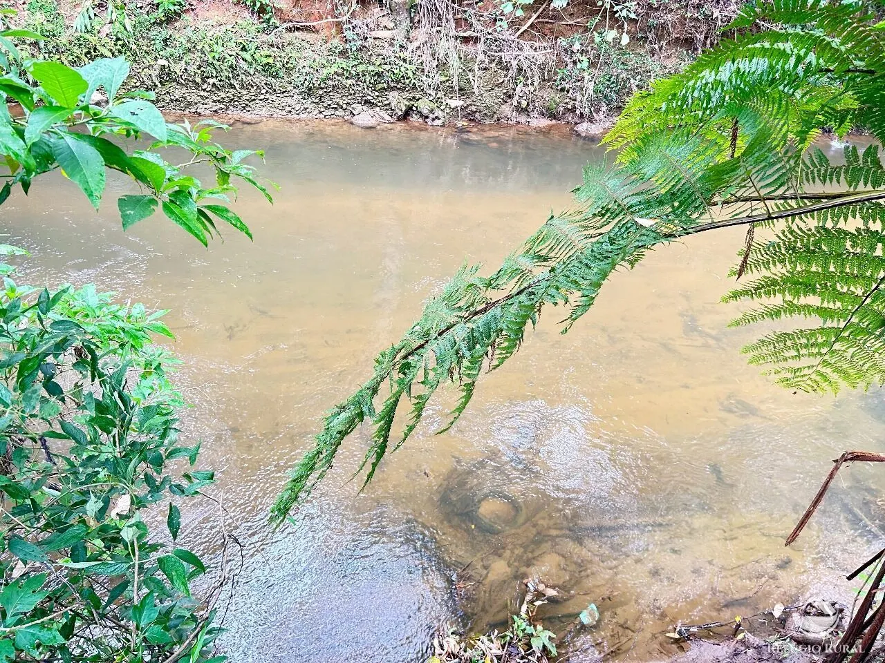 Plot for sale of 10 acres in São José dos Campos, SP, Brazil