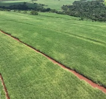 Fazenda à venda e para Arrendar de 484 ha em São Carlos, SP, Brasil