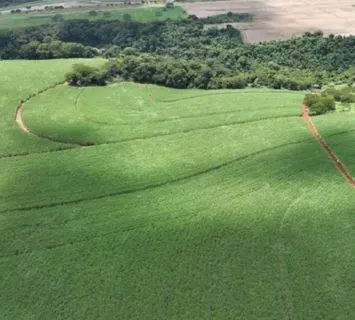 Fazenda à venda e para Arrendar de 484 ha em São Carlos, SP, Brasil