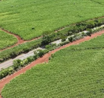 Fazenda à venda e para Arrendar de 484 ha em São Carlos, SP, Brasil