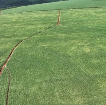 Fazenda à venda e para Arrendar de 484 ha em São Carlos, SP, Brasil