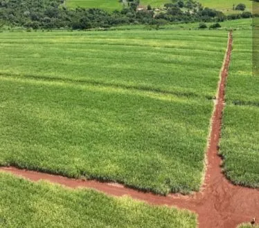 Fazenda à venda e para Arrendar de 484 ha em São Carlos, SP, Brasil