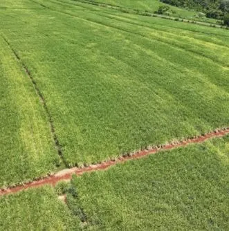Fazenda à venda e para Arrendar de 484 ha em São Carlos, SP, Brasil