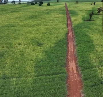 Fazenda à venda e para Arrendar de 484 ha em São Carlos, SP, Brasil
