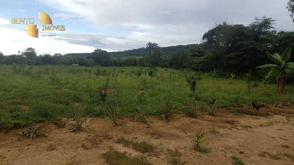 Fazenda à venda de 401 ha em Paranatinga, MT, Brasil