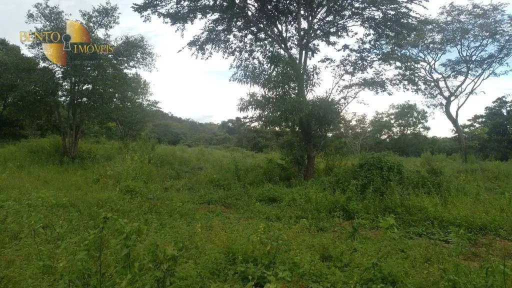Fazenda à venda de 401 ha em Paranatinga, MT, Brasil
