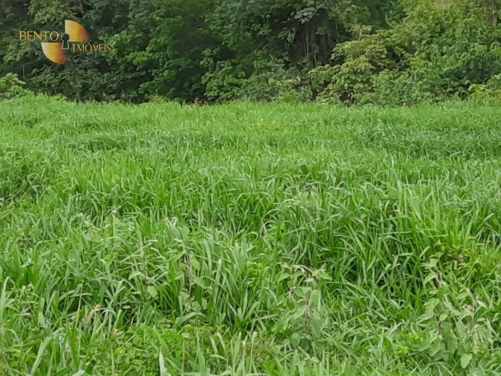 Fazenda à venda de 401 ha em Paranatinga, MT, Brasil