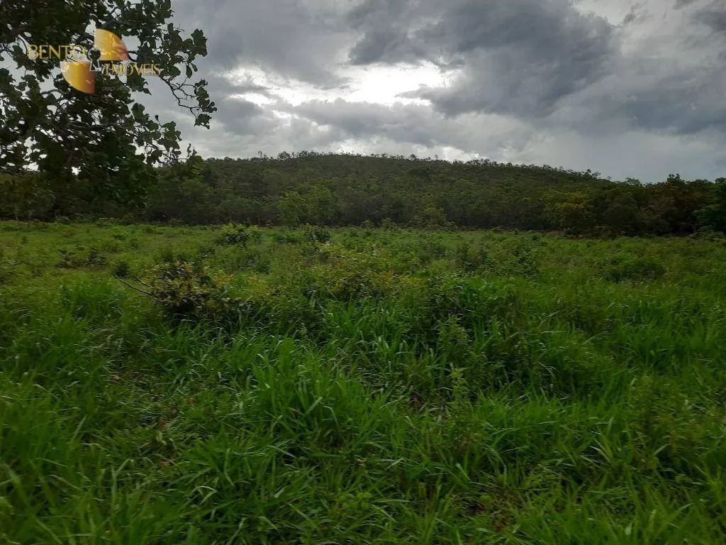 Fazenda à venda de 401 ha em Paranatinga, MT, Brasil