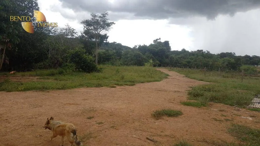 Fazenda à venda de 401 ha em Paranatinga, MT, Brasil