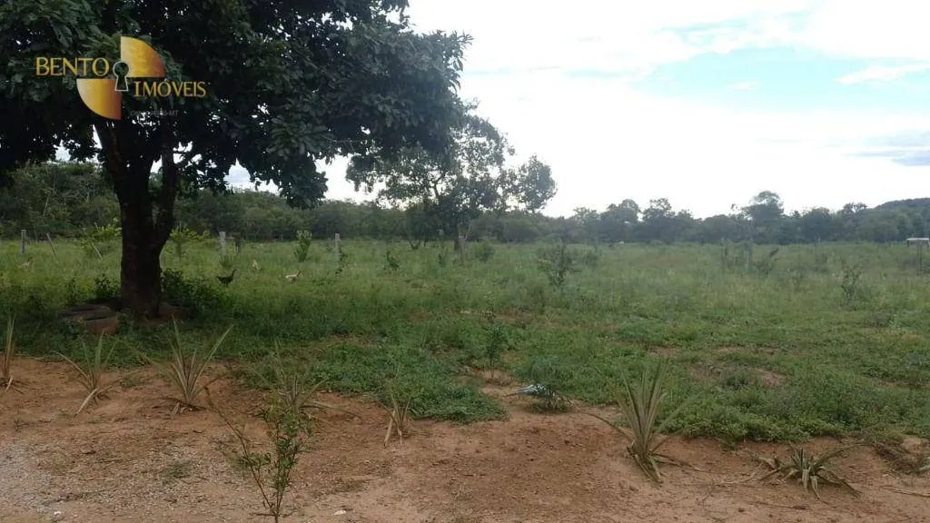 Fazenda à venda de 401 ha em Paranatinga, MT, Brasil