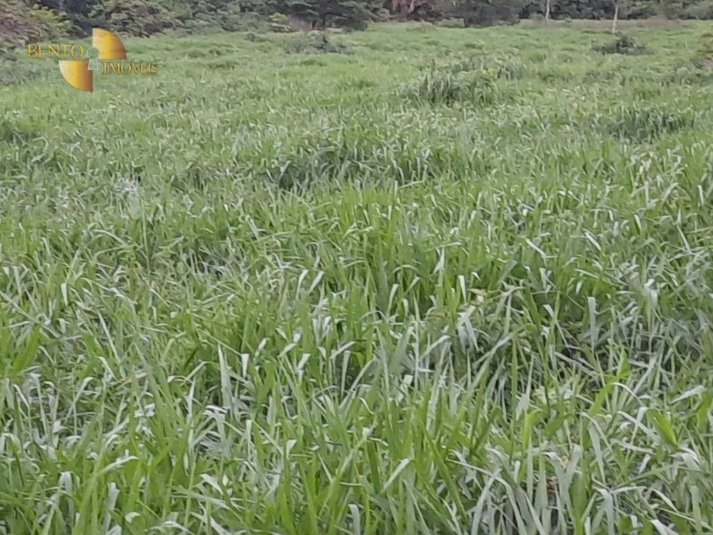 Fazenda à venda de 401 ha em Paranatinga, MT, Brasil
