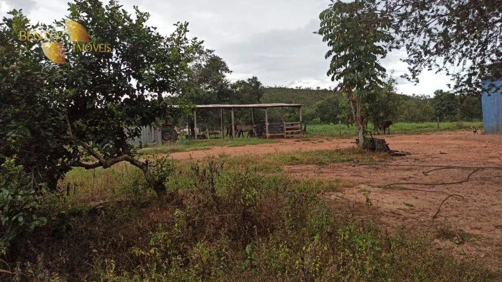 Fazenda à venda de 401 ha em Paranatinga, MT, Brasil
