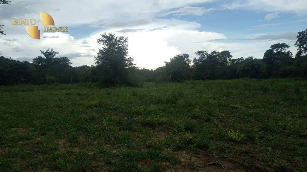 Fazenda à venda de 401 ha em Paranatinga, MT, Brasil