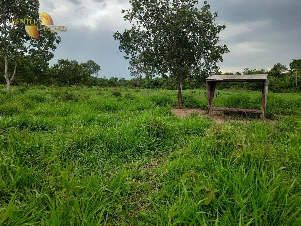 Fazenda à venda de 401 ha em Paranatinga, MT, Brasil