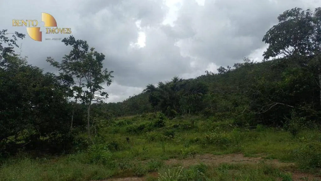 Fazenda à venda de 401 ha em Paranatinga, MT, Brasil
