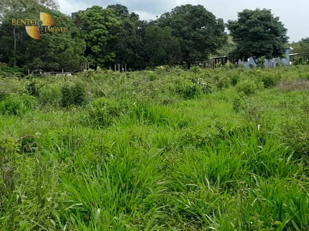 Fazenda à venda de 401 ha em Paranatinga, MT, Brasil