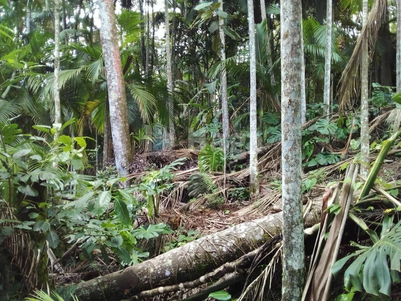 Casa à venda de 692 m² em Brusque, SC, Brasil