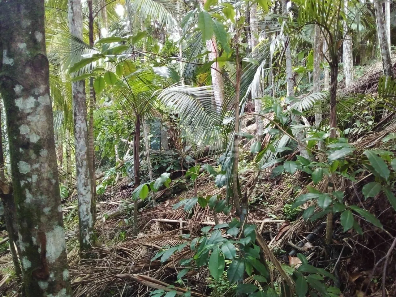 Casa à venda de 692 m² em Brusque, SC, Brasil
