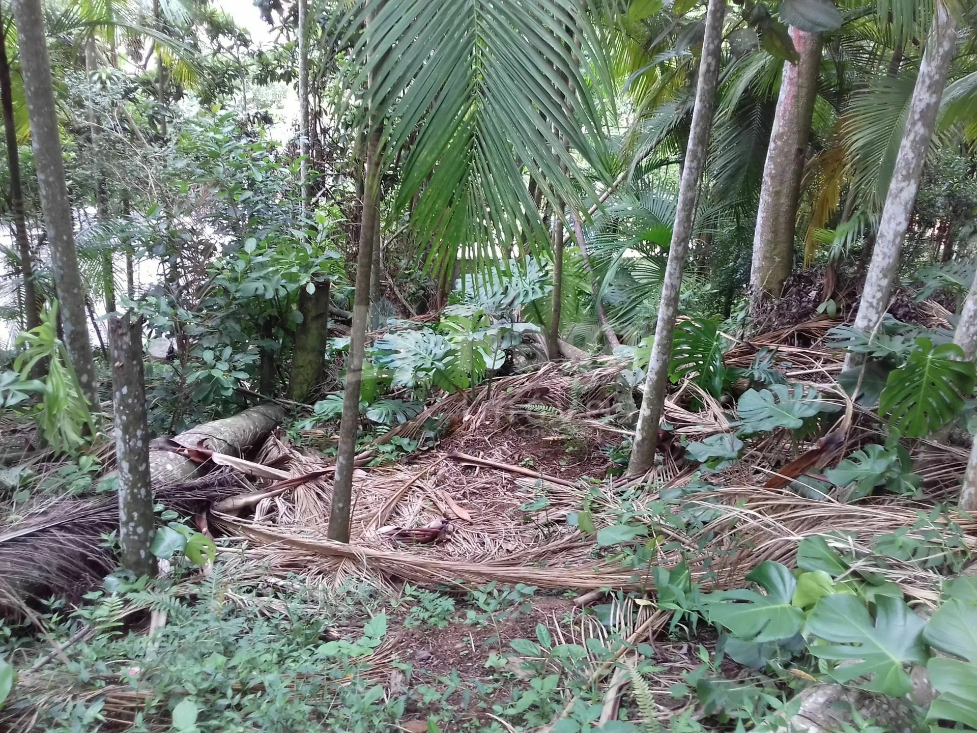 Casa à venda de 692 m² em Brusque, SC, Brasil