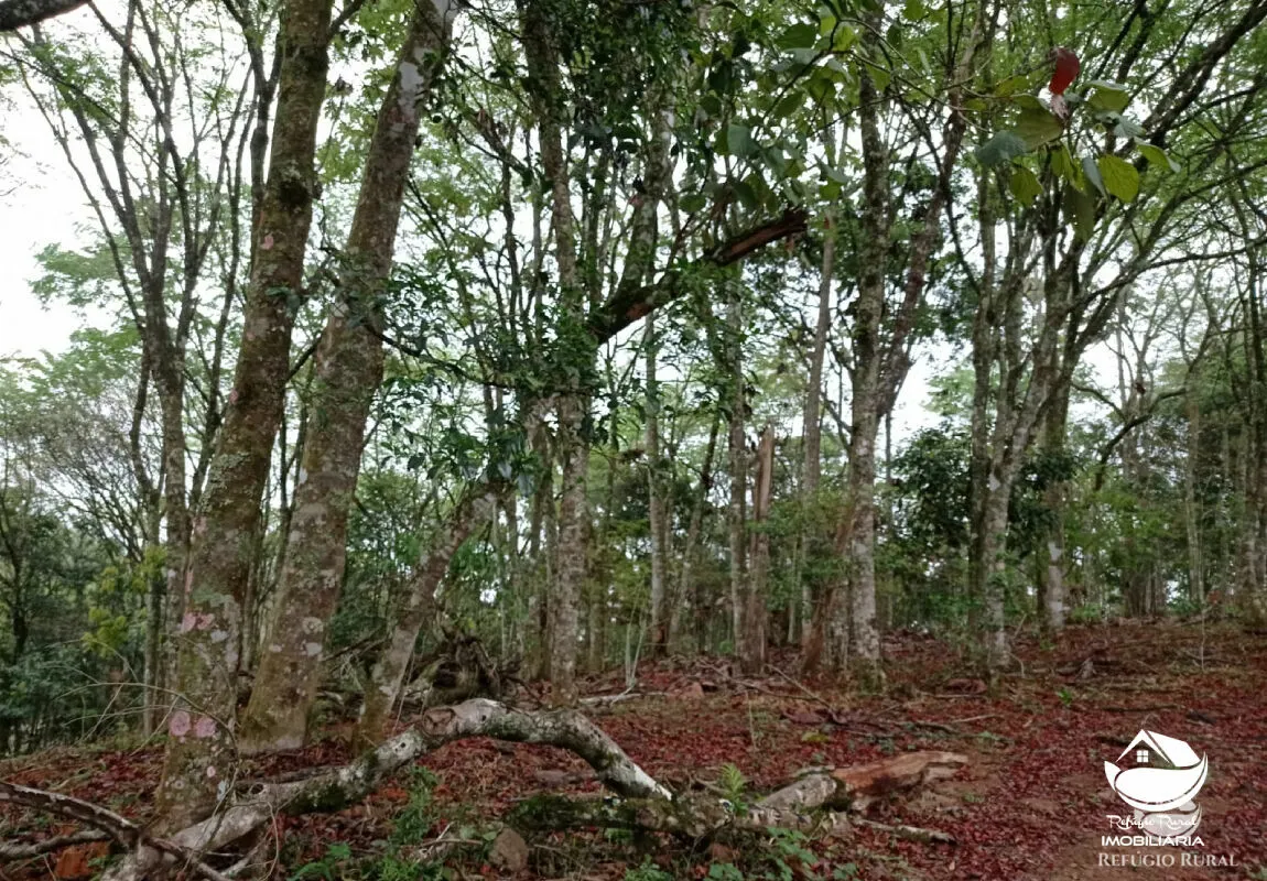 Terreno à venda de 2 ha em São José dos Campos, SP, Brasil