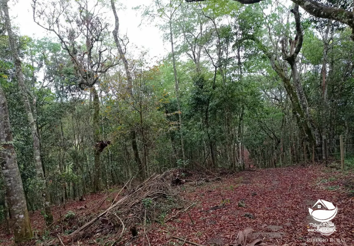 Terreno à venda de 2 ha em São José dos Campos, SP, Brasil