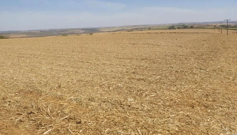 Fazenda à venda de 90 ha em São João da Boa Vista, SP, Brasil